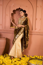 Load image into Gallery viewer, Embroidered Blouses with Brocade Pants and Velvet Palla - Gold