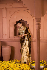 Embroidered Blouses with Brocade Pants and Velvet Palla - Gold