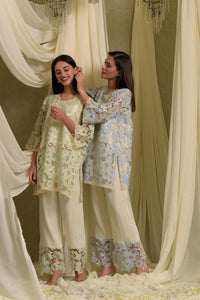 Myra Mesh Floral Pastel Kurta with Pleated Pants - Pastel Green