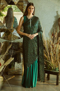 Idylic Adorned Gown Saree With Sequence Palla - Green